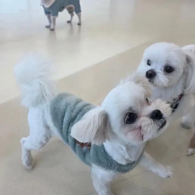 우리 친구들이 함께하는 행복한 산책
