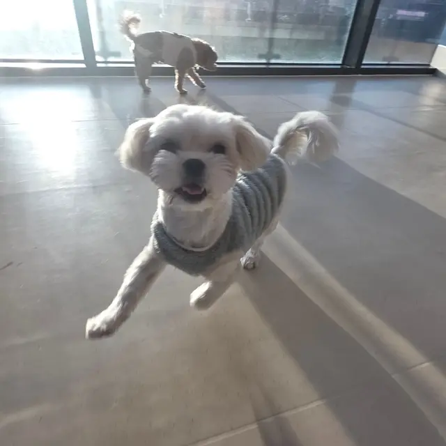 창가에서 함께 바깥 세상을 바라보는 모습이 참 사랑스럽네요.