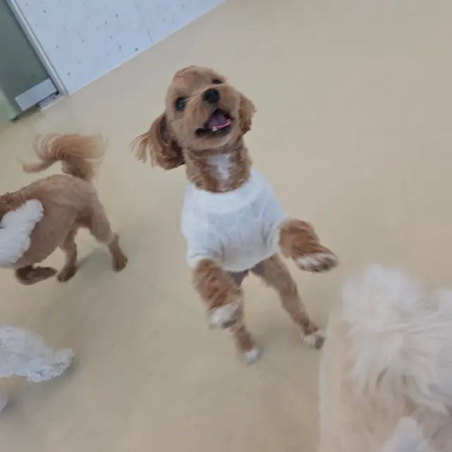 친구들과 함께 보내는 소중한 시간이에요.