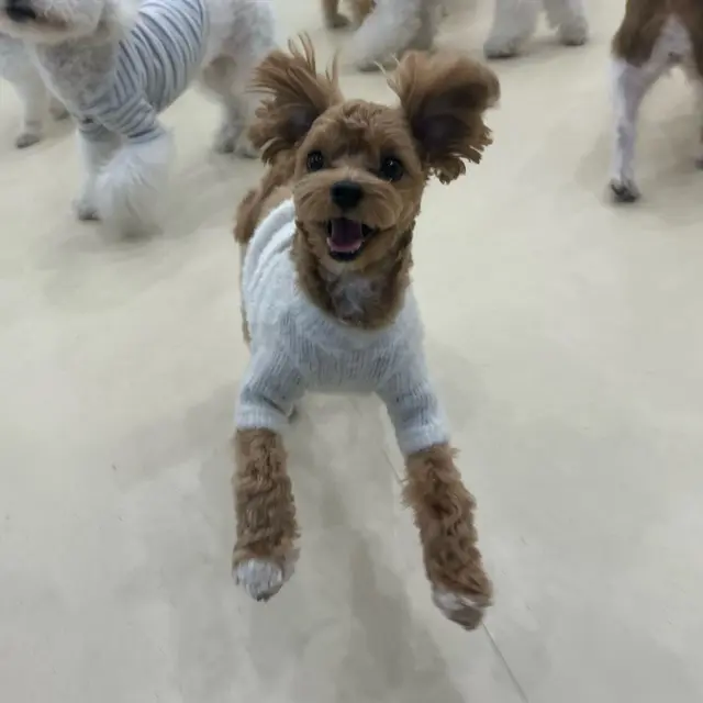 친구들과 함께 신나는 야외 시간을 즐기고 있어요!