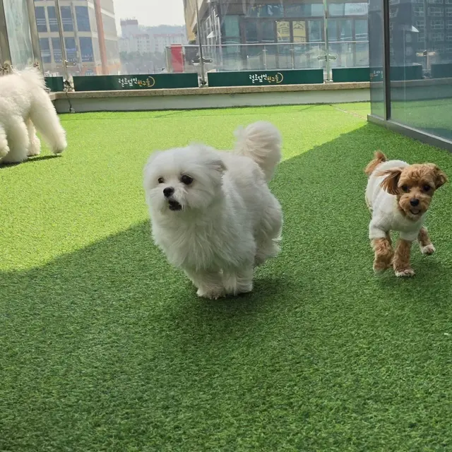 밝은 햇빛이 가득한 공간에서 세 친구가 함께하는 행복한 시간