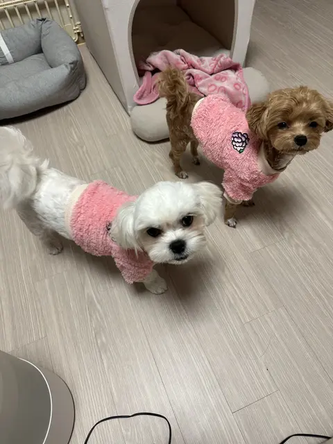 목욕을 마친 후 분홍색 옷으로 감싼 우리 아이들이 정말 포근해 보여요.