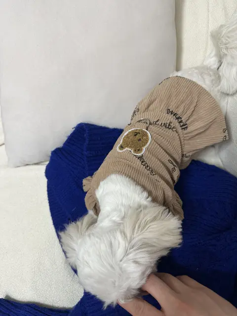 따뜻한 모자를 쓰고 소중한 품에 안겨있는 찹쌀이의 행복한 순간이에요.