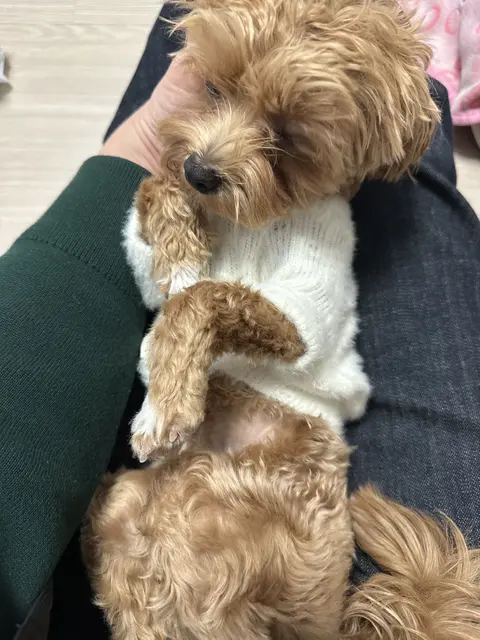 팔 속에서 편히 쉬는 두 아이의 모습이 참 사랑스럽네요.
