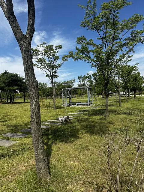 파란 하늘 아래 넓은 공원 산책로에서 설탕이와 찹쌀이가 나란히 함께 나들이 중