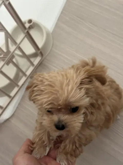 손을 꼭 잡고 함께하는 따뜻한 순간이 참 소중하네요.
