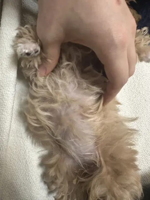 사랑스러운 손 위에 안긴 따뜻한 우리 아기의 소중한 순간.