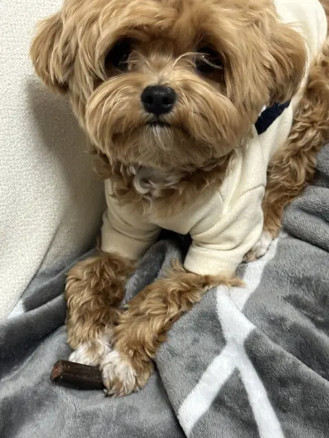 따뜻한 옷을 입고 편히 쉬면서 간식을 즐기는 행복한 아이의 모습이네요.