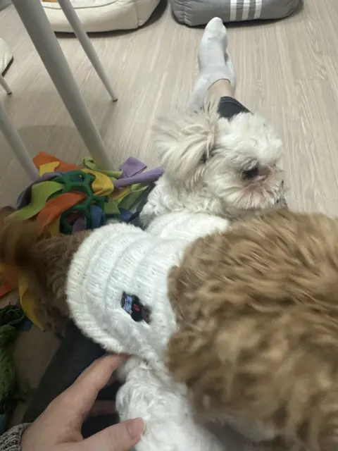 목욕 후 타올로 물기를 닦아주는 엄마의 손길 속에서 행복한 두 아이들이에요.