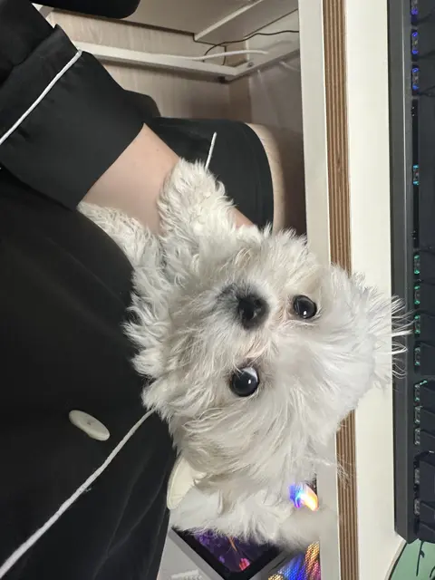누군가의 품에 안겨 함께 시간을 보내는 따뜻한 순간