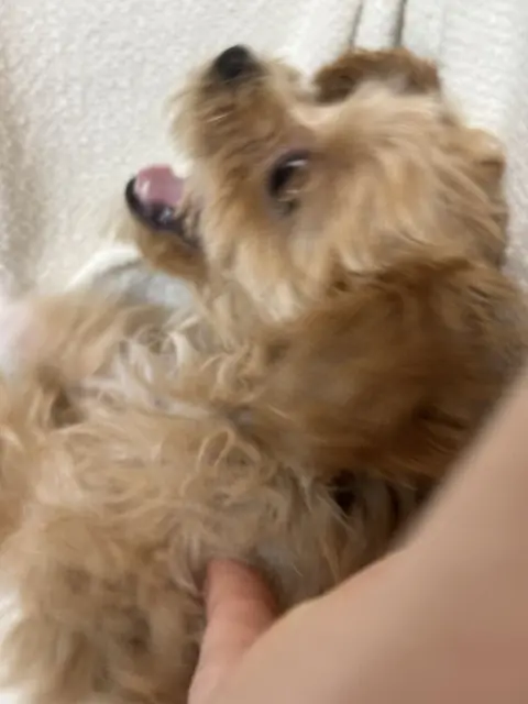 팔 안에서 편안하게 웃고 있는 사랑스러운 친구의 순간이네요.