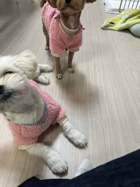 분홍색 옷이 곱게 어울리는 사랑스러운 두 친구, 함께 있어서 더욱 따뜻하다.