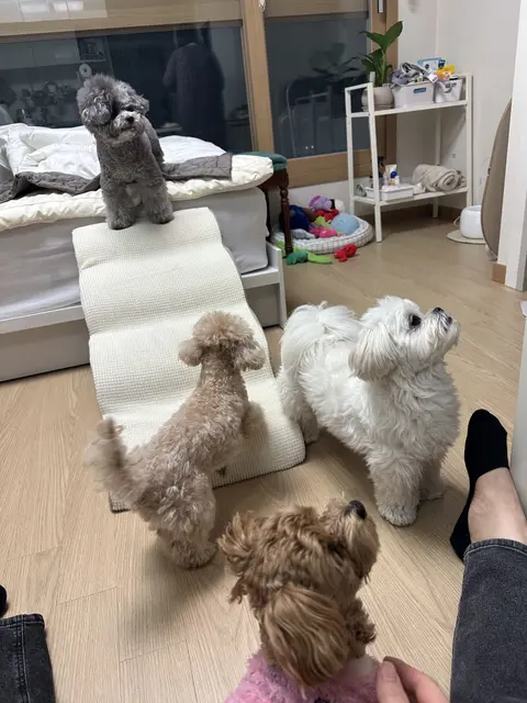 우리의 사랑스러운 아이들이 함께 즐거운 시간을 보내고 있어요.