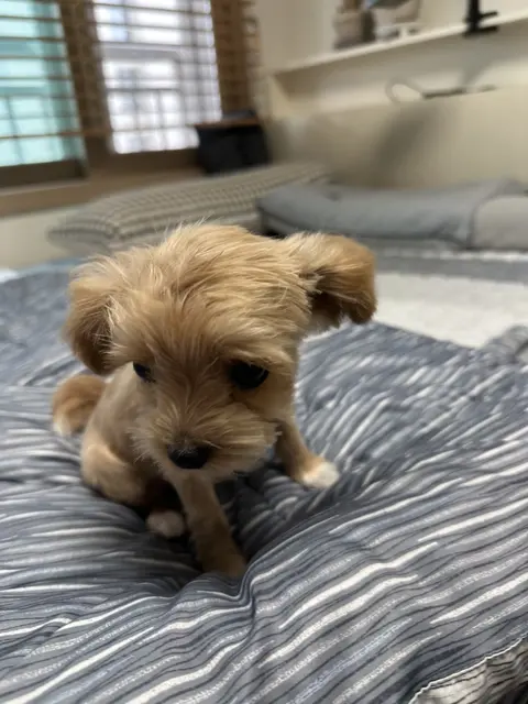 침대에서 편안하게 쉬는 우리 꼬마의 행복한 모습이 참 예쁘네요.